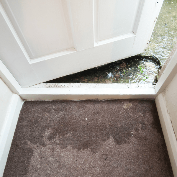 Flooded carpet